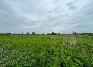 Продажа участка, 49 сот., село Гродеково, Первомайская улица