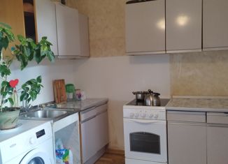 Однокомнатная квартира на продажу, 40 м2, Санкт-Петербург, Афанасьевская улица, 6к1, Афанасьевская улица