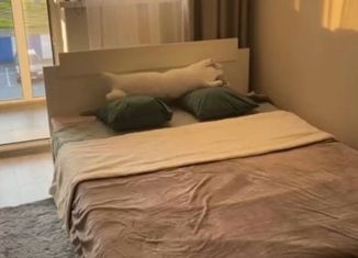 Сдаю в аренду однокомнатную квартиру, 30.3 м2, поселок Ласкино, Осенняя улица, 2к7