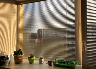 Продажа 1-ком. квартиры, 29.6 м2, Екатеринбург, Таганская улица, 24/2, метро Проспект Космонавтов