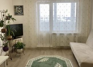 Продается квартира студия, 29 м2, деревня Малое Верево, улица Кириллова, 1А