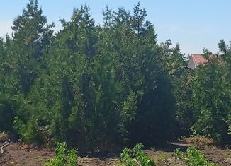 Дом на продажу, 72 м2, станица Ольгинская