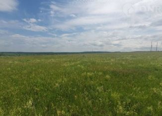 Продаю земельный участок, 16.8 сот., деревня Дикая Гарь, Лесная улица