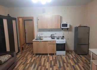 Сдаю в аренду 1-ком. квартиру, 25 м2, Магнитогорск, Лесопарковая улица, 93/3