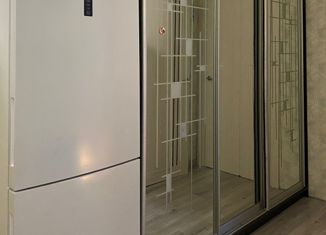 Продаю трехкомнатную квартиру, 58 м2, Санкт-Петербург, улица Чудновского, 8к1, улица Чудновского