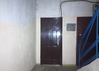 Продается однокомнатная квартира, 28 м2, село Екатериновка, Партизанская улица, 50А