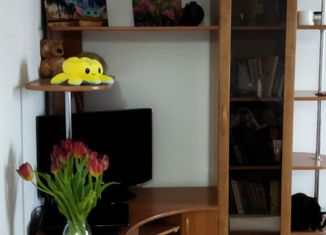 1-ком. квартира на продажу, 28.6 м2, Минусинск, Народная улица, 3