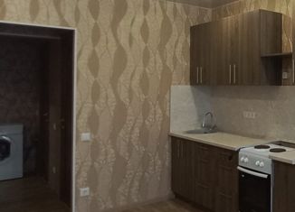 Продаю 2-ком. квартиру, 43 м2, Новосибирск, улица Михаила Перевозчикова, 7, улица Михаила Перевозчикова