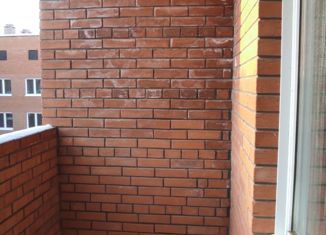 Продаю 1-ком. квартиру, 29.02 м2, деревня Кисловка