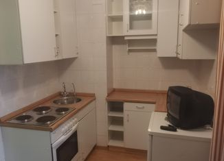 Двухкомнатная квартира на продажу, 47 м2, Санкт-Петербург, проспект Просвещения, 76к1, муниципальный округ Прометей