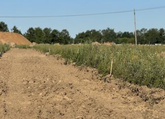 Участок на продажу, 11 сот., рабочий посёлок Правдинский, Институтский проезд, 1