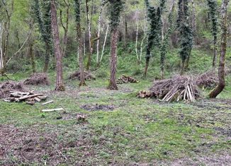 Продаю земельный участок, 535 сот., село Измайловка, СТ Педагог, 41