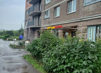 Продам 2-комнатную квартиру, 52.8 м2, посёлок Металлострой, Садовая улица, 6