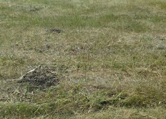 Продажа участка, 10 сот., село Ахмерово