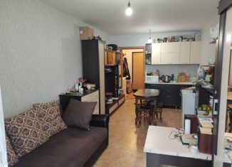 Продажа квартиры студии, 25.2 м2, Красноярский край, улица Карамзина, 8