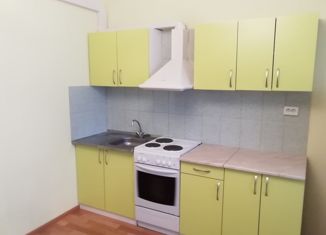 Продаю квартиру студию, 26 м2, Мурино, проспект Авиаторов Балтики, 5, ЖК Виктория