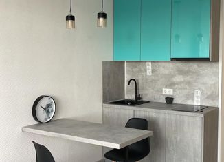 Продам квартиру студию, 24 м2, деревня Лаврики, деревня Лаврики, 67