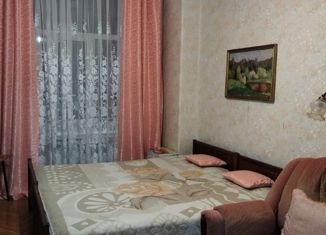 Двухкомнатная квартира в аренду, 62 м2, Санкт-Петербург, улица Смолячкова, 15-17, улица Смолячкова