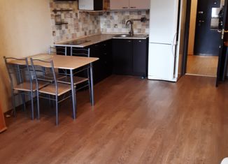 Сдам в аренду квартиру студию, 31 м2, Мурино, Петровский бульвар, 7, ЖК Ласточка