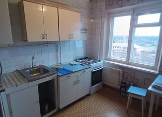 Продается 1-комнатная квартира, 30.5 м2, посёлок Плеханово, Заводская улица, 9