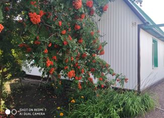 Продаю дом, 72 м2, село Старая Отрада, Р-240, 253-й километр