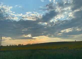 Продаю участок, 16 сот., село Новоникольск