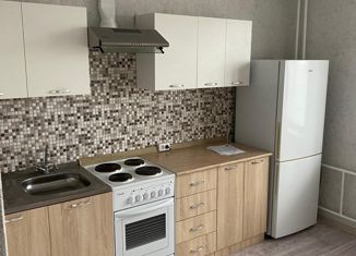 Сдается в аренду 1-комнатная квартира, 25.6 м2, Ростов-на-Дону, переулок Белоусова, 20