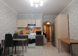 Квартира на продажу студия, 25.9 м2, Мурино, улица Шувалова, 4к1, ЖК Мой Город