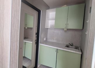 Однокомнатная квартира на продажу, 12.7 м2, Казань, улица Кул Гали, 10, Приволжский район