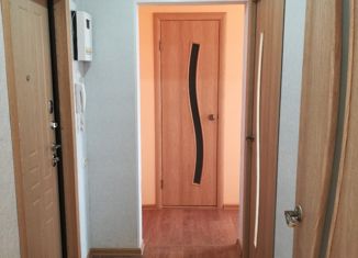 Продается 2-комнатная квартира, 43.5 м2, Нижний Новгород, улица Ефима Рубинчика, 13, улица Ефима Рубинчика