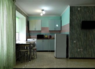 Продается квартира студия, 31 м2, поселок городского типа Емельяново, Новая улица, 21Б