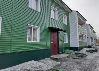 Двухкомнатная квартира на продажу, 50 м2, Камень-на-Оби, Солнечная улица, 5