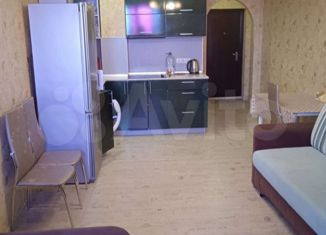 Продаю квартиру студию, 23 м2, деревня Хохряки, Тепличная улица, 30