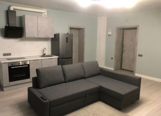 Продам 1-комнатную квартиру, 45 м2, Александров, ЖК Солнечная долина, улица Жулёва, 1к1