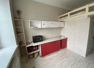 Квартира на продажу студия, 16 м2, Новосибирск, поселок Восточный, 18А, Ленинский район