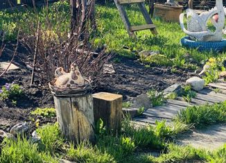 Дом на продажу, 41.6 м2, Мариинск, улица 50 лет Октября, 48