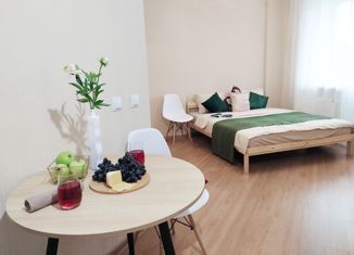 Сдам в аренду квартиру студию, 29 м2, Ижевск, Удмуртская улица, 266, Центральный жилой район