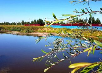 Продам участок, 13.17 сот., СНТ Незабудкино