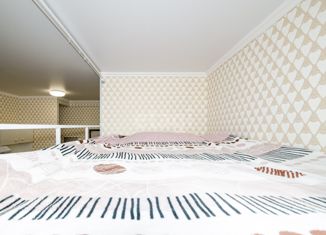 Продажа квартиры студии, 18.4 м2, Новосибирск, улица Котовского, 18/1, улица Котовского