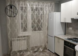 Продаю 1-комнатную квартиру, 41 м2, деревня Новосельцы, Юбилейная улица, 13