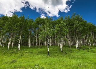 Продается дом, 60 м2, рабочий посёлок Горбатовка