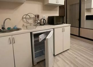 Продаю 1-комнатную квартиру, 16.6 м2, Москва, Новоясеневский проспект, 21к1, район Ясенево