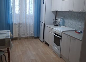 Сдача в аренду 1-комнатной квартиры, 42.3 м2, Санкт-Петербург, проспект Энгельса, 150к1