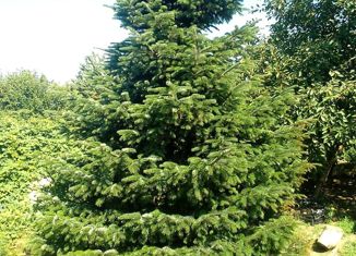 Продам дом, 48.6 м2, село Красногвардейское, Октябрьская улица, 37