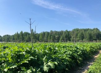 Продам земельный участок, 15 сот., Псков