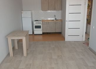 Продажа 2-ком. квартиры, 43 м2, Иркутская область, микрорайон Березовый, 202