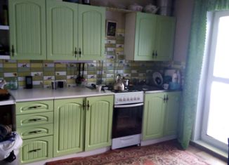 Дом на продажу, 50.7 м2, Куса, улица Юрия Гагарина