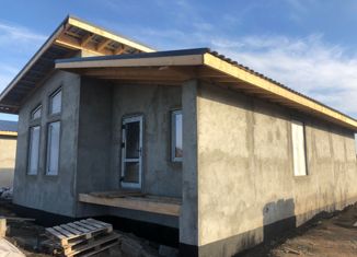 Продам дом, 54 м2, село Дружино, Успешная улица