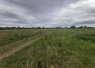 Продается участок, 20.25 сот., село Тыгиш