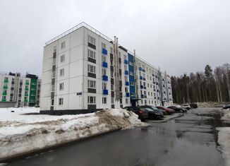 2-комнатная квартира на продажу, 55.2 м2, Петрозаводск, Морозный проезд, 5, район Древлянка-II